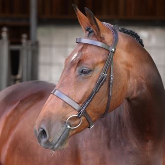 Shires Velociti LUSSO Elite Hunter Bridle (Havana)
