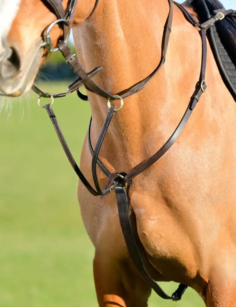 Kincade Classic 3 Point Breastplate with Running Martingale (Brown)