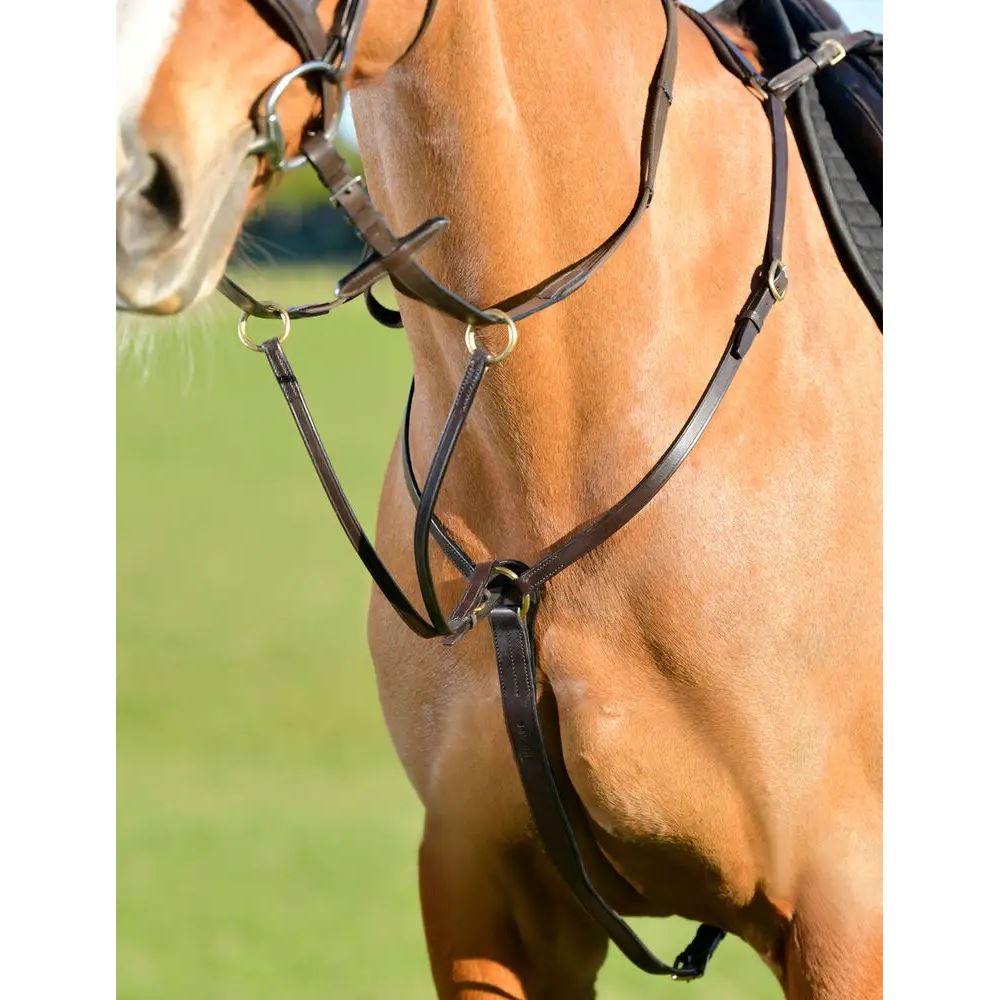 Kincade Classic 3 Point Breastplate with Running Martingale (Brown)