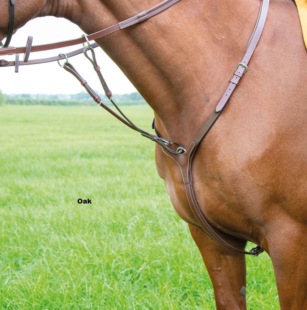 Shires Avignon Breastplate