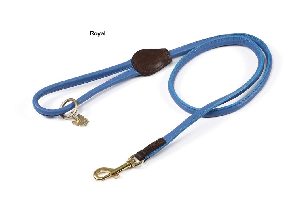 Shires Digby & Fox Rolled Leather Dog Lead (Royal)