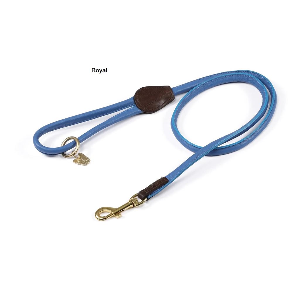 Shires Digby & Fox Rolled Leather Dog Lead (Royal)