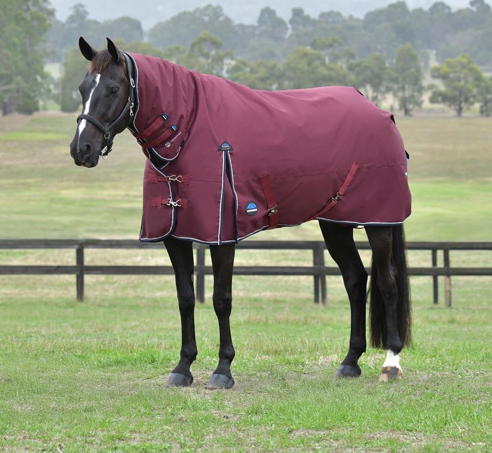 Weatherbeeta Comfitec Essential Turnout Combo - 50g (Burgundy/Navy)