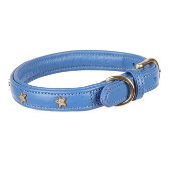 Shires Digby & Fox Star Dog Collar - S, M (Royal)