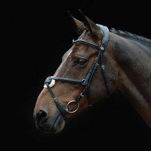 Collegiate Comfitec Grackle Bridle (Black)