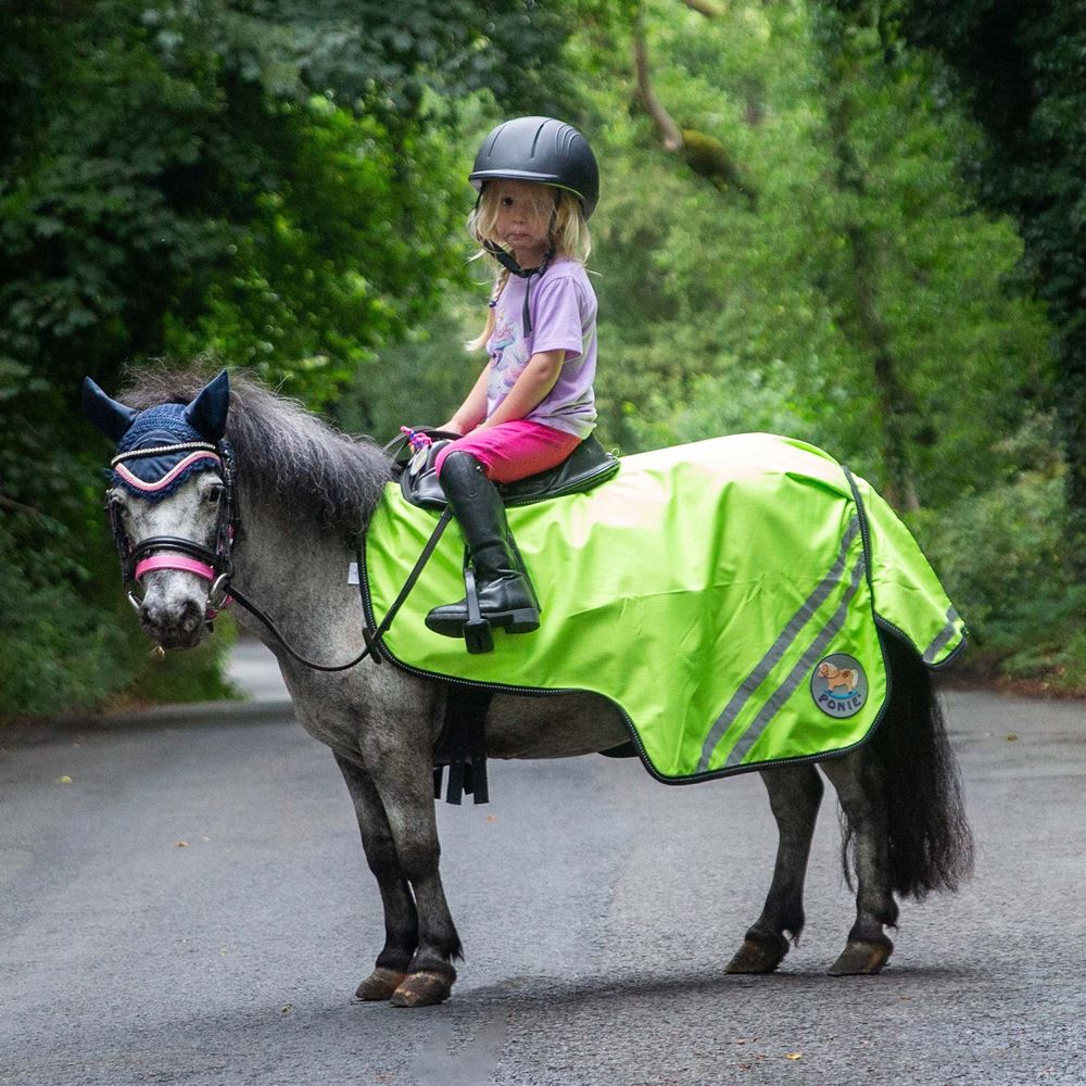 Gallop Ponie Retro Reflective Waterproof Exercise Sheet