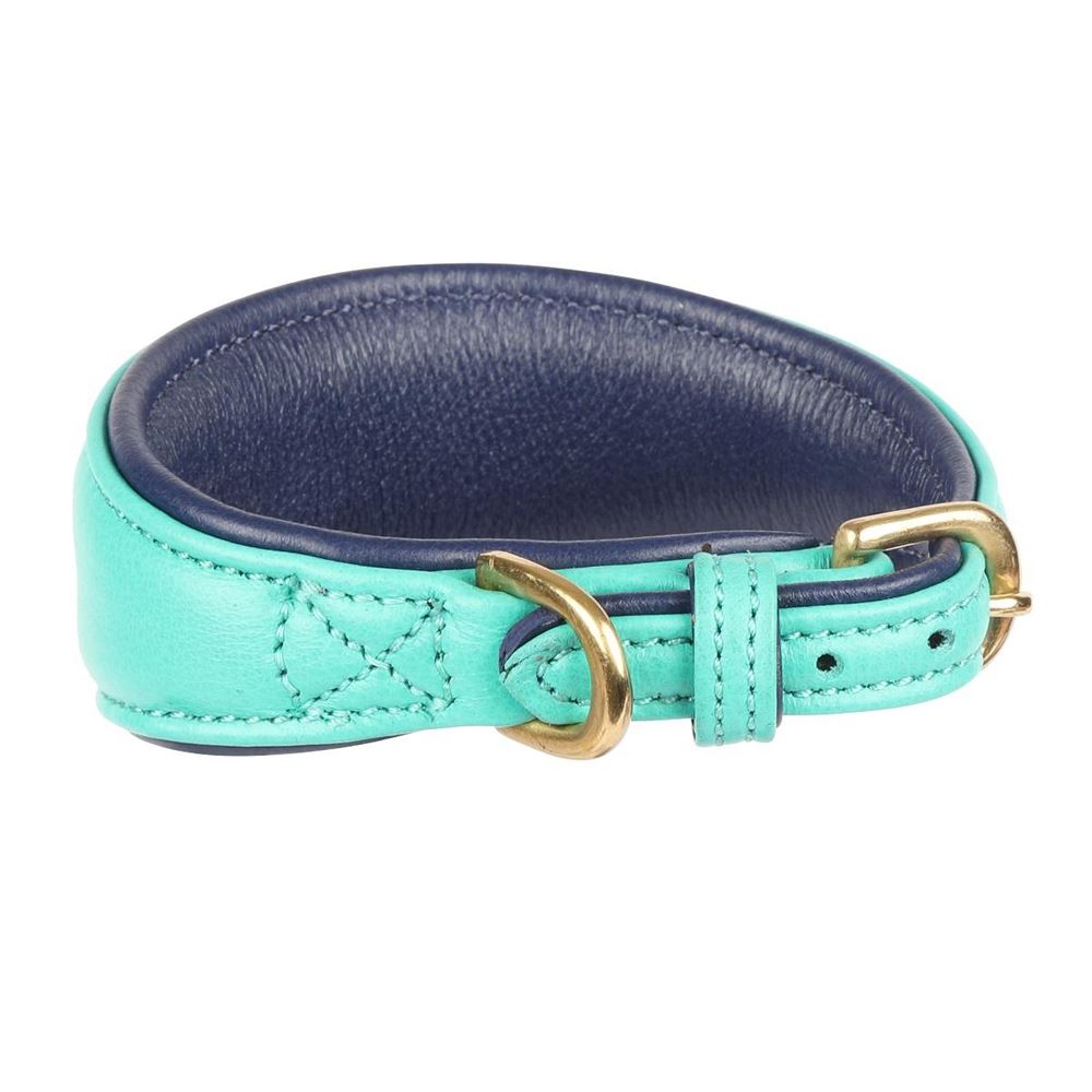 Shires Digby & Fox Padded Leather Greyhound Collar - S, XS (Teal)