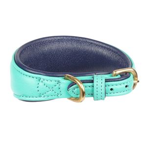 Shires Digby & Fox Padded Leather Greyhound Collar - S, XS (Teal)