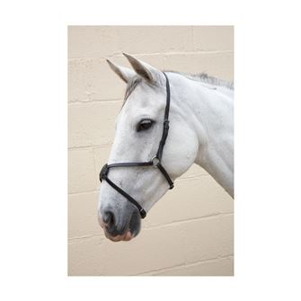 Hy Equestrian Mexican Grackle Noseband
