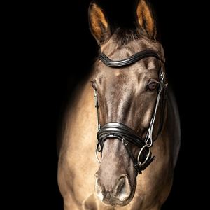 ProPresicce Pelle Crank Leather Bridle by Hy Equestrian (Black with Silver Hardware)