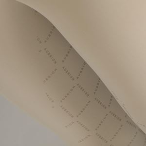 Shires Aubrion Optima Luxe Breeches (Beige)