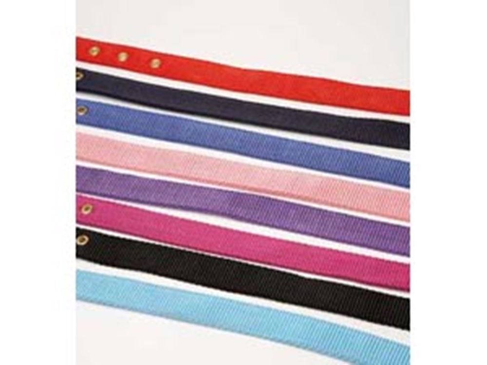 Hy Holly Fully Adjustable Head Collar