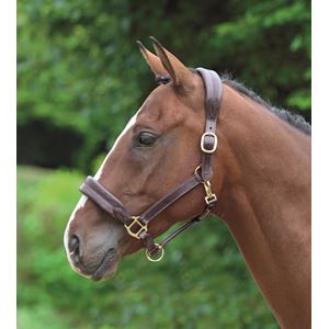 Shires Blenheim Leather Cushioned Travel Headcollar