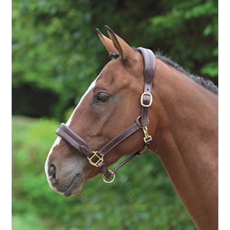 Shires Velociti GARA (Blenheim) Leather Cushioned Travel Headcollar